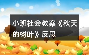 小班社會教案《秋天的樹葉》反思