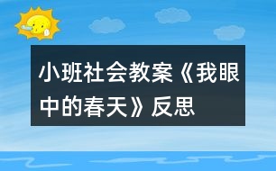 小班社會教案《我眼中的春天》反思