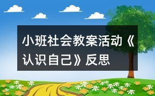 小班社會(huì)教案活動(dòng)《認(rèn)識自己》反思