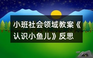 小班社會領域教案《認識小魚兒》反思