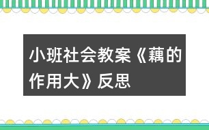 小班社會教案《藕的作用大》反思