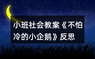 小班社會(huì)教案《不怕冷的小企鵝》反思