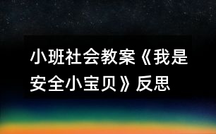 小班社會教案《我是安全小寶貝》反思