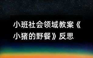 小班社會(huì)領(lǐng)域教案《小豬的野餐》反思