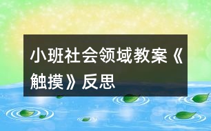 小班社會領(lǐng)域教案《觸摸》反思