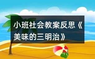 小班社會(huì)教案反思《美味的三明治》