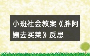 小班社會(huì)教案《胖阿姨去買菜》反思