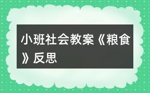 小班社會(huì)教案《糧食》反思