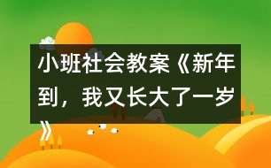 小班社會(huì)教案《新年到，我又長(zhǎng)大了一歲》反思