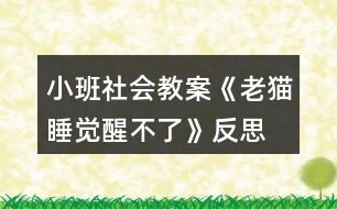 小班社會教案《老貓睡覺醒不了》反思