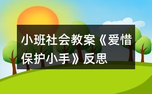 小班社會(huì)教案《愛惜、保護(hù)小手》反思