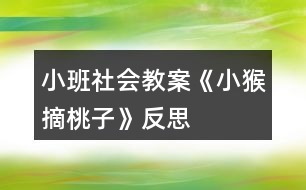 小班社會(huì)教案《小猴摘桃子》反思