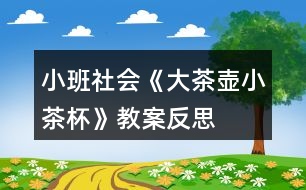 小班社會(huì)《大茶壺、小茶杯》教案反思