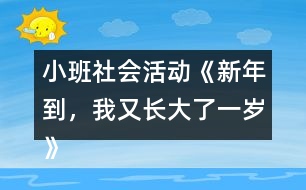 小班社會活動《新年到，我又長大了一歲》教學(xué)設(shè)計反思