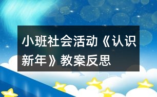 小班社會活動《認(rèn)識新年》教案反思