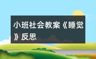 小班社會教案《睡覺》反思