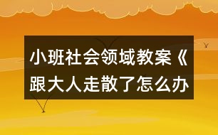 小班社會領(lǐng)域教案《跟大人走散了怎么辦》反思