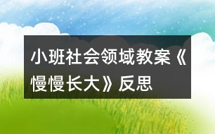 小班社會領(lǐng)域教案《慢慢長大》反思