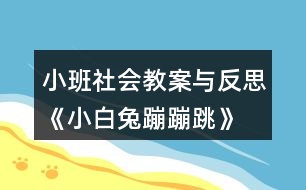 小班社會(huì)教案與反思《小白兔蹦蹦跳》