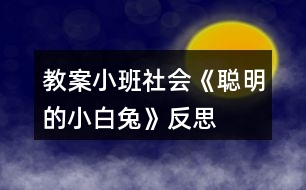 教案小班社會《聰明的小白兔》反思