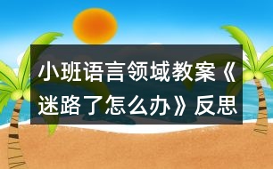 小班語言領域教案《迷路了怎么辦》反思