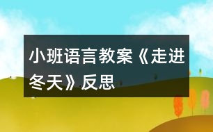 小班語言教案《走進(jìn)冬天》反思