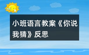 小班語(yǔ)言教案《你說(shuō)我猜》反思