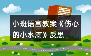 小班語(yǔ)言教案《傷心的小水滴》反思