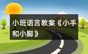 小班語(yǔ)言教案《小手和小腳》