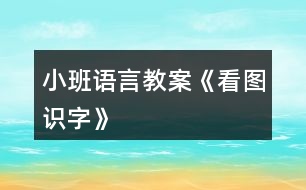 小班語(yǔ)言教案《看圖識(shí)字》