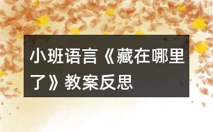 小班語(yǔ)言《藏在哪里了》教案反思