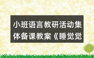 小班語(yǔ)言教研活動(dòng)集體備課教案《睡覺覺》反思