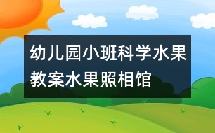 幼兒園小班科學(xué)水果教案：水果照相館