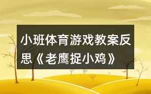 小班體育游戲教案反思《老鷹捉小雞》