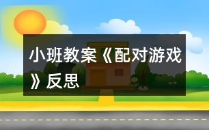 小班教案《配對游戲》反思