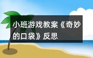 小班游戲教案《奇妙的口袋》反思