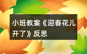小班教案《迎春花兒開(kāi)了》反思