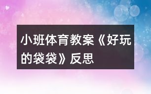 小班體育教案《好玩的袋袋》反思