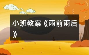 小班教案《雨前雨后》