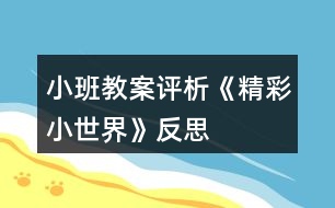 小班教案評析《精彩小世界》反思