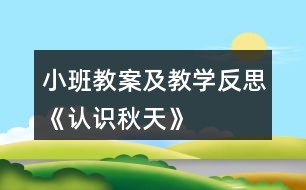 小班教案及教學(xué)反思《認識秋天》