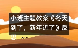 小班主題教案《冬天到了，新年近了》反思
