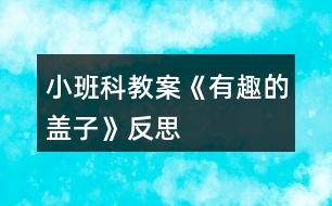 小班科教案《有趣的蓋子》反思