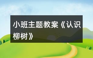 小班主題教案《認識柳樹》