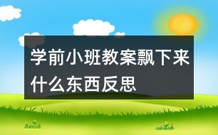 學(xué)前小班教案飄下來什么東西反思