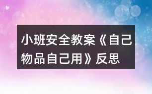 小班安全教案《自己物品自己用》反思