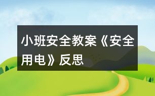 小班安全教案《安全用電》反思