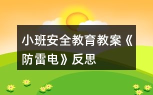 小班安全教育教案《防雷電》反思