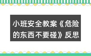 小班安全教案《危險的東西不要碰》反思