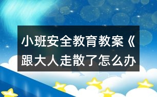 小班安全教育教案《跟大人走散了怎么辦》反思